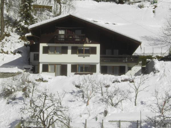 Gaestehaus Andrea 施伦斯 外观 照片